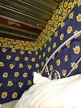 bull Giant online show from February 3, 2025, 2:47 am