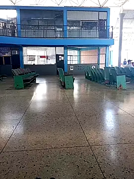 AlkalineCalmness online show from March 24, 2026, 2:00 pm