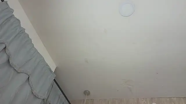 Alexa roussee online show from November 21, 2025, 12:48 pm