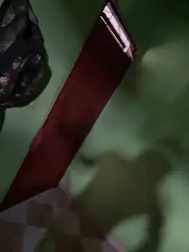 Snapshot of Alphadavid_23 chatting on February 26, 2025, 7:16 pm Alphadavid 23 online show from February 26, 2025, 7:16 pm