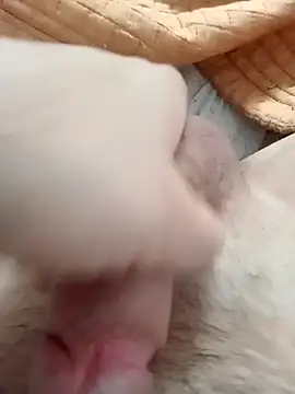 Snapshot of ionutiul chatting on March 14, 2025, 2:41 pm ionutiul online show from March 14, 2025, 2:41 pm