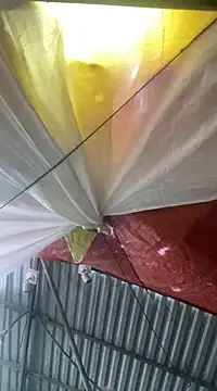 Cesywet online show from February 7, 2025, 8:33 am