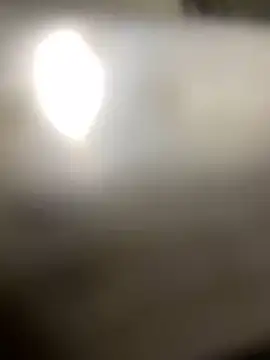 Cesywet online show from February 23, 2025, 9:44 am