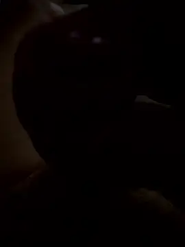 Snapshot of rusken123 chatting on January 15, 2026, 5:49 pm rusken123 online show from January 15, 2026, 5:49 pm