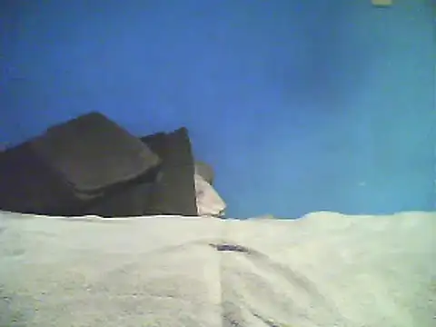 Vago745 online show from December 2, 2024, 10:50 am