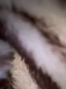 Snapshot of simmiiii chatting on January 10, 2025, 7:21 pm simmiiii online show from January 10, 2025, 7:21 pm