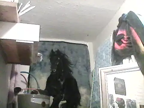 lilbishmiss online show from February 13, 2025, 10:12 am