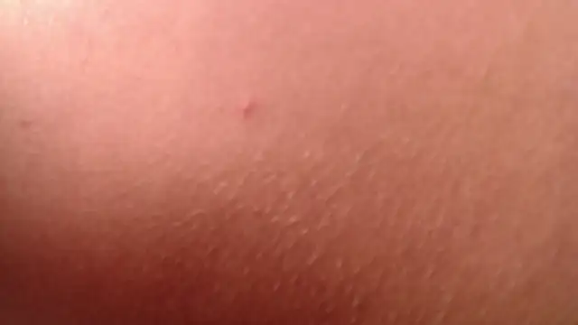 isabella jazz online show from January 7, 2026, 4:20 pm