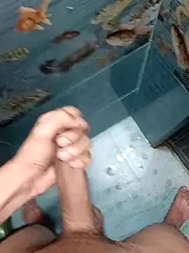 Mr joh online show from February 12, 2026, 6:25 pm