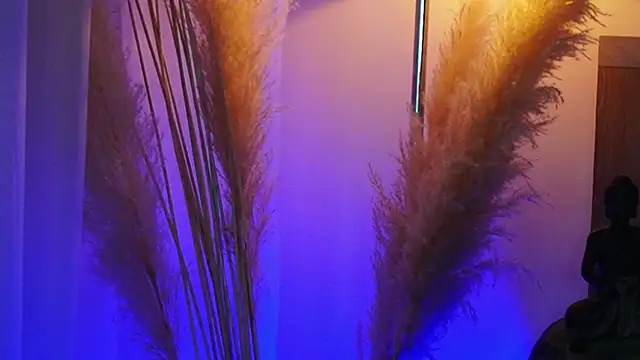 AliceShazaham  online show from September 12, 2025, 7:08 am