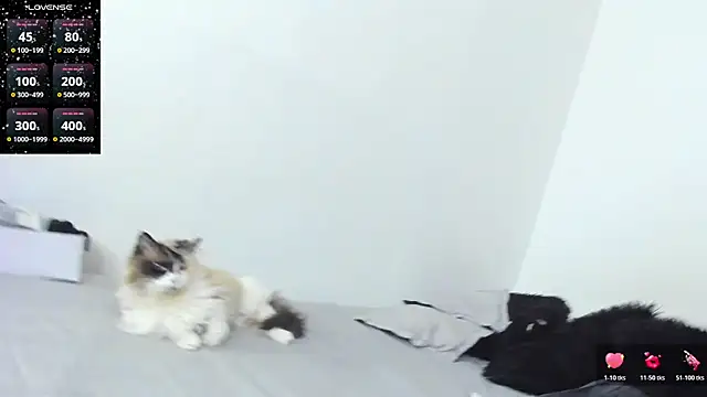 Snapshot of SophieBaker__ chatting on February 3, 2026, 2:10 am SophieBaker online show from February 3, 2026, 2:10 am