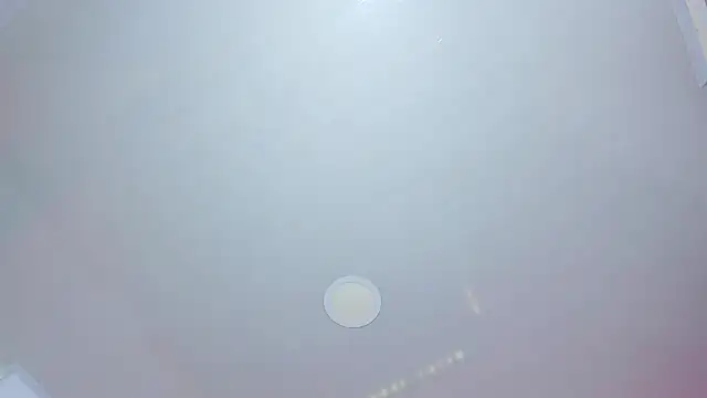 Daisy  rose online show from March 20, 2026, 3:00 am