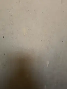 loveme99004 online show from February 16, 2026, 2:29 am