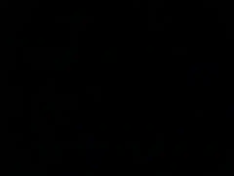 Bitter  online show from March 5, 2025, 8:10 am