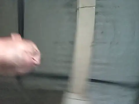 strip 1212 online show from November 6, 2025, 11:48 pm