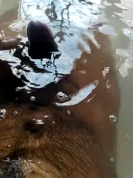 mysterious guy kakashi1 online show from February 22, 2026, 9:41 am