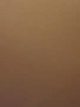 Snapshot of EvaRush chatting on February 16, 2025, 8:11 pm EvaRush online show from February 16, 2025, 8:11 pm