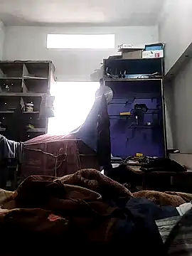 Sid4Sex online show from December 2, 2024, 6:41 am