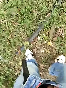 C vas  online show from March 3, 2025, 9:15 pm