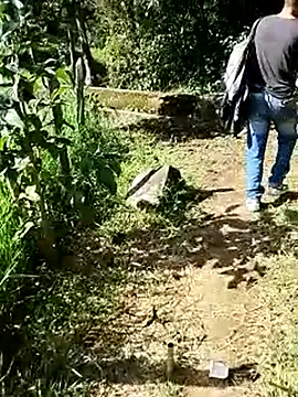 C vas  online show from March 16, 2025, 8:32 pm