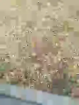 Snapshot of Mrveda66 chatting on February 10, 2026, 11:03 am Mrveda66 online show from February 10, 2026, 11:03 am