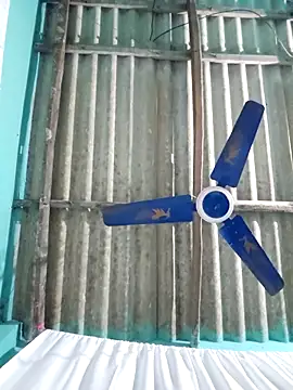 hotbaby 5 online show from November 16, 2025, 5:13 am