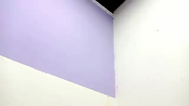 Snapshot of PetiteIvoryQueen19 chatting on February 13, 2026, 1:01 am PetiteIvoryQueen19 online show from February 13, 2026, 1:01 am