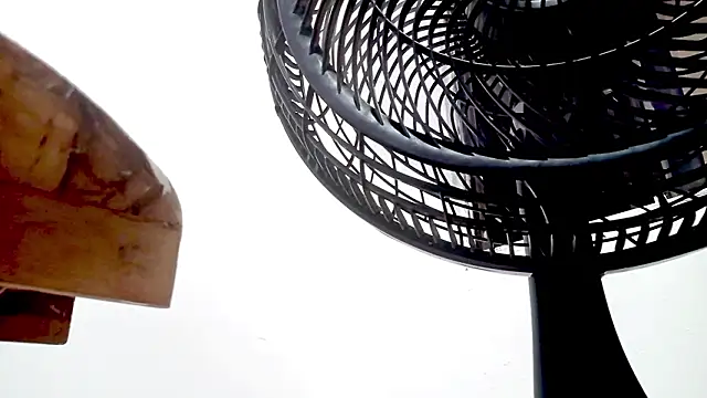 Snapshot of PetiteIvoryQueen19 chatting on February 14, 2026, 1:35 am PetiteIvoryQueen19 online show from February 14, 2026, 1:35 am