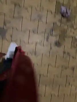 maiolullo online show from November 27, 2025, 12:35 am