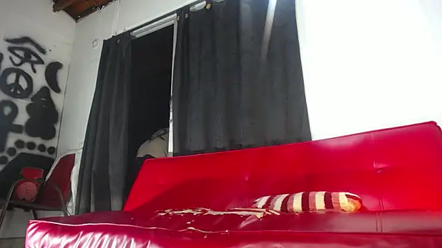 Dexter-T online show from December 11, 2024, 8:15 am