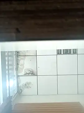 pintuS40 online show from January 6, 2025, 3:31 am