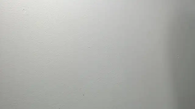 sussy leon online show from March 4, 2025, 12:22 pm