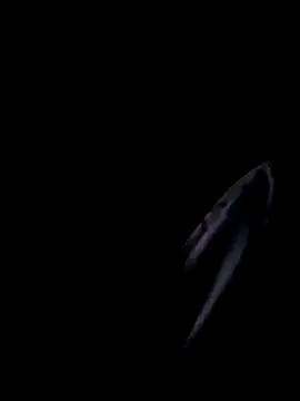 Inkognito0495 online show from October 29, 2025, 5:31 am