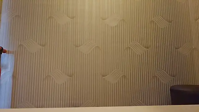 Snapshot of AlejandraDelaney chatting on December 4, 2024, 7:50 am AlejandraDelaney online show from December 4, 2024, 7:50 am