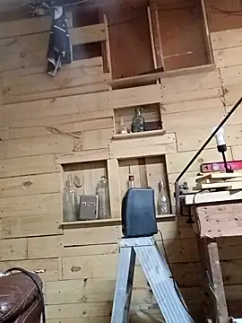 Buffshagswell online show from November 21, 2025, 3:00 pm