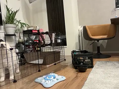 kensnb online show from November 4, 2025, 8:57 am