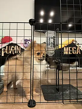 kensnb online show from March 9, 2026, 9:08 pm