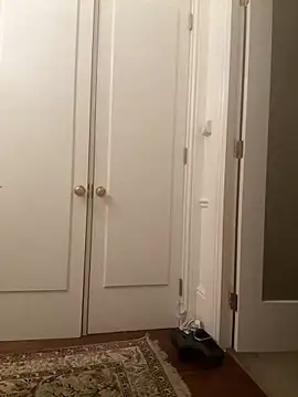 francaFerrariRoma online show from December 28, 2024, 3:26 am