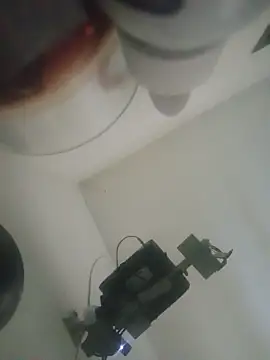 Snapshot of Gostozim7 chatting on May 1, 2026, 5:17 pm Gostozim7 online show from May 1, 2026, 5:17 pm