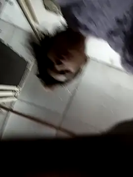 Snapshot of zoya_khan25 chatting on December 28, 2024, 2:42 pm zoya khan25 online show from December 28, 2024, 2:42 pm