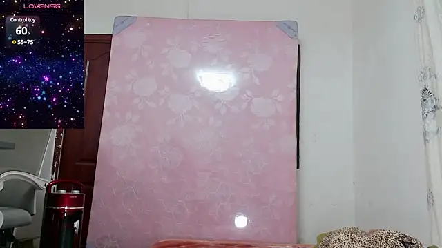 baoer-558 online show from December 18, 2024, 6:46 pm