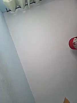 Chneor28 online show from February 3, 2026, 10:09 am