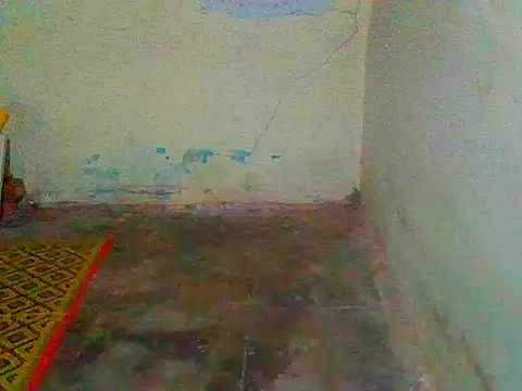 jellydicks online show from February 11, 2025, 12:58 pm