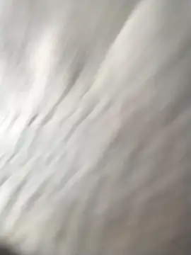 jellydicks online show from March 23, 2026, 8:18 am