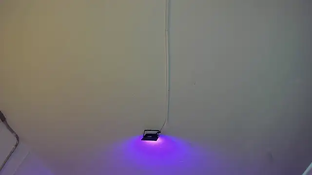 Amy Kiitty  online show from February 27, 2026, 1:00 pm