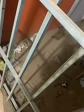 Black mamba madingo online show from March 12, 2025, 4:08 am