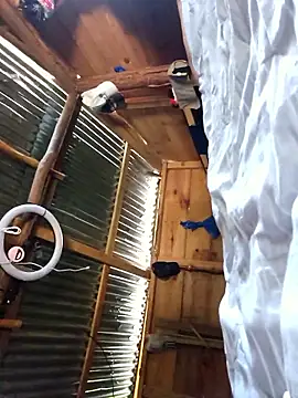 jose5320 20 online show from February 18, 2026, 4:14 pm