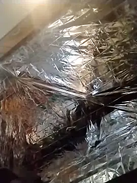 Snapshot of axelongshaft69 chatting on December 19, 2024, 1:50 am axelongshaft69 online show from December 19, 2024, 1:50 am