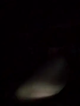 axelongshaft69 online show from March 9, 2026, 12:53 pm