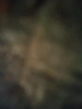 axelongshaft69 online show from April 7, 2026, 6:52 pm